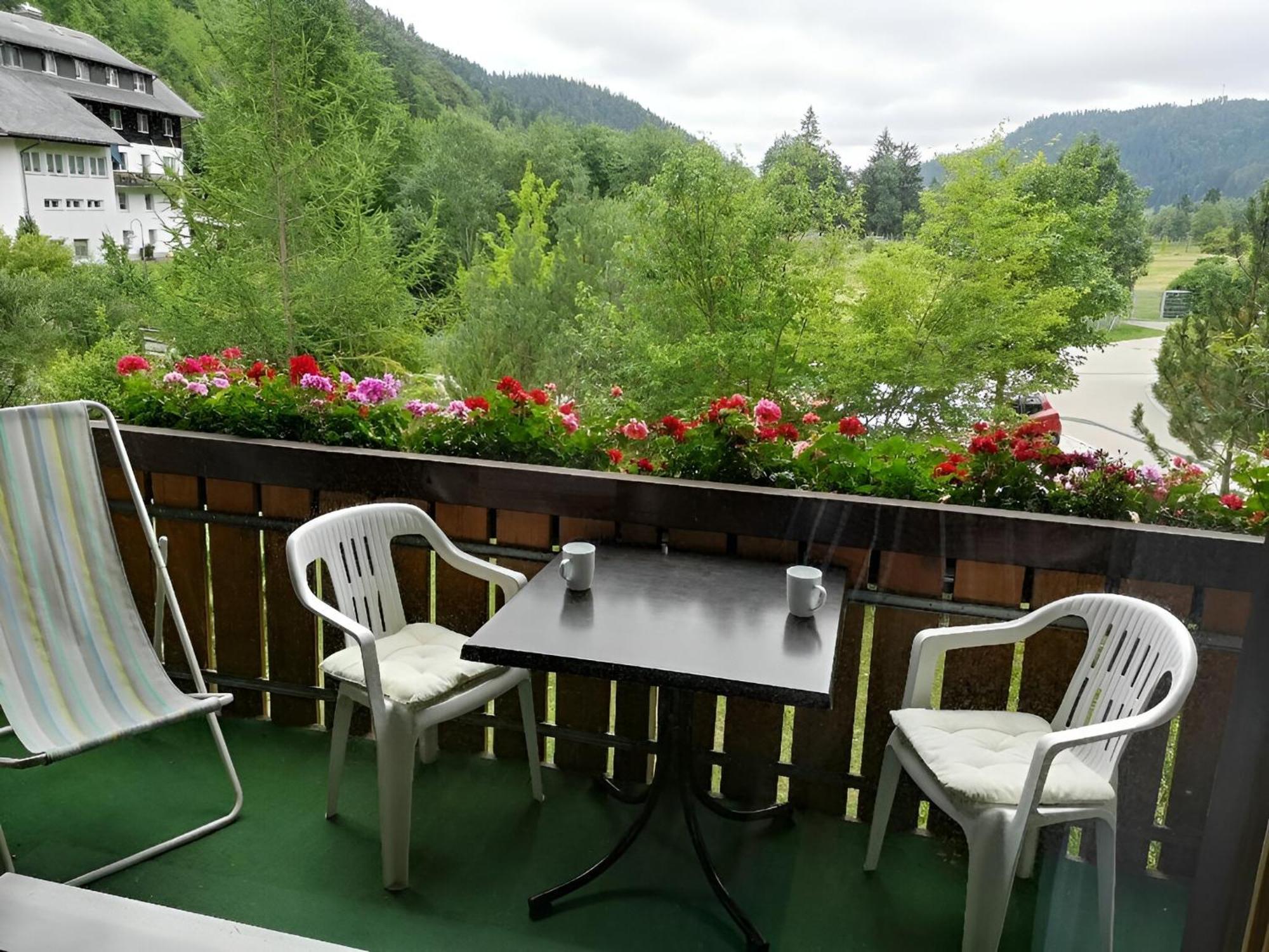 Naturidyll Am Fluss - Ferienhaus Albmatte - Grosser Garten Zum Grillen Und Entspannen-Direkt Neben Dem Radon Revitalbad Mit Sauna Und Thermalbecken ザンクト・ブラージエン エクステリア 写真