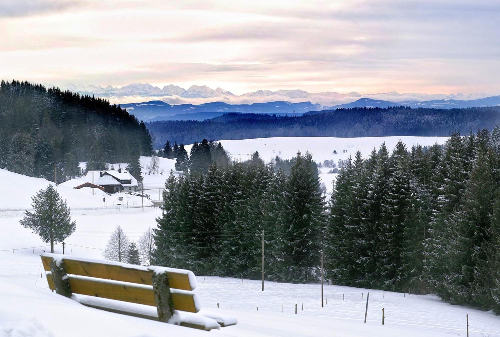 Naturidyll Am Fluss - Ferienhaus Albmatte - Grosser Garten Zum Grillen Und Entspannen-Direkt Neben Dem Radon Revitalbad Mit Sauna Und Thermalbecken ザンクト・ブラージエン エクステリア 写真