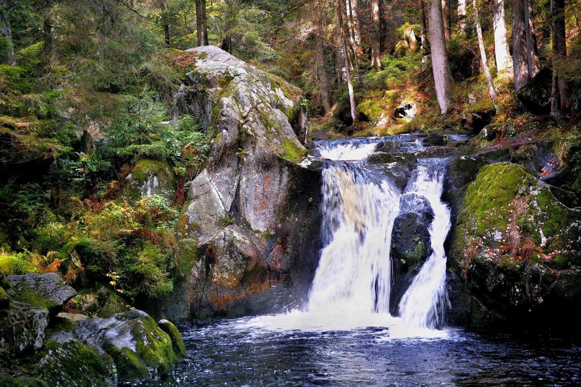 Naturidyll Am Fluss - Ferienhaus Albmatte - Grosser Garten Zum Grillen Und Entspannen-Direkt Neben Dem Radon Revitalbad Mit Sauna Und Thermalbecken ザンクト・ブラージエン エクステリア 写真